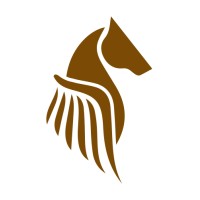 Pegasus Fintech, Inc. Logo