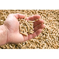 Brasil Biomassa e Energia Renovável Logo