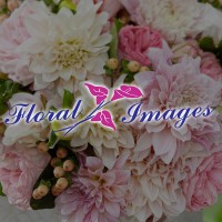 Floral Images Logo