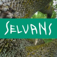 Associació Sèlvans Logo