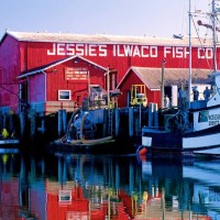 Jessies Ilwaco Fish Co., Inc. Logo