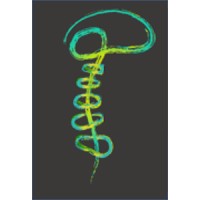 Central Texas Brain & Spine Logo