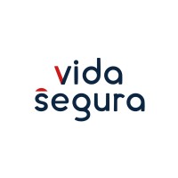 Vida Segura Logo