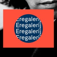 Nederlands Fotomuseum Logo