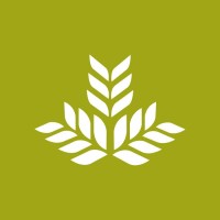 Northeast Georgia Physicians Group Logo