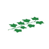 Neo Ivy Capital Logo