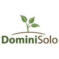 DominiSolo Logo