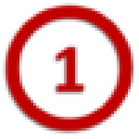Red One Network Solutions Logo
