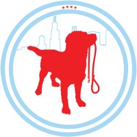 Pawsitive Paws Logo