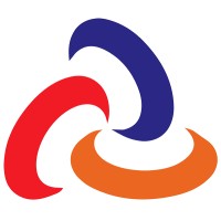 TPG International and Domestic Express Logo