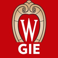 UW-Madison Grainger Institute for Engineering Logo