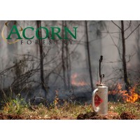 Acorn Forestry Logo