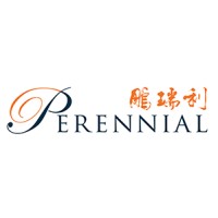 Perennial Logo