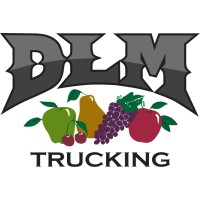 DLM Trucking LLC Logo