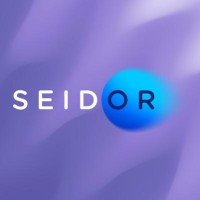 SEIDOR Centroamérica y Caribe Logo