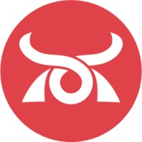 Ronin Data Solutions Logo