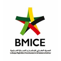 Banque Maghrébine d’Investissement et de Commerce Extérieur (BMICE) Logo