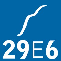 29E6 Logo