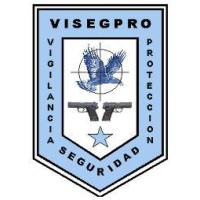 VISEGPRO Cía. Ltda. Logo