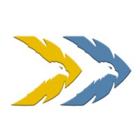 Twin Eagle Solutions Logo