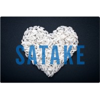 SATAKE AMÉRICA LATINA LTDA Logo