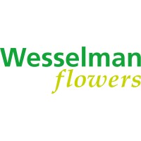 Wesselman Flowers B.V. Logo