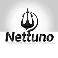Nettuno Sistemi Logo