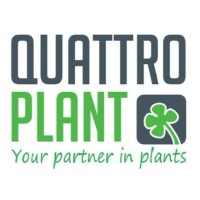 Quattro Plant Logo