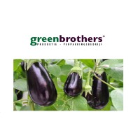 Greenbrothers V.O.F. Logo