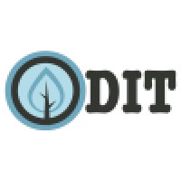 DIT.mx Logo