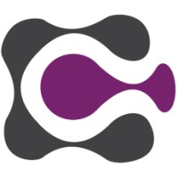 Chase Solutions Logo