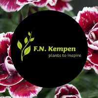 F.N. Kempen Logo