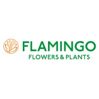 Flamingo Flowers & Plants Netherlands Logo