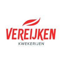 Vereijken Kwekerijen B.V. Logo