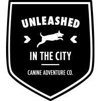 Unleashed In The City Logo
