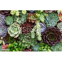 Winco Holland B.V. Logo