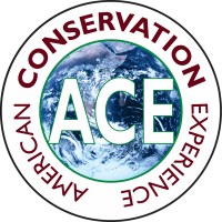 American Conservation Experience Logo