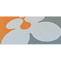 Brans Almelo B.V. Logo