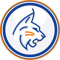Corporate LinX Logo