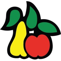 M.J. Pronk B.V. Logo