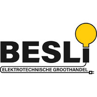 Besli Import / Export B.V. Logo