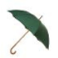 Umbrella Systems Logo