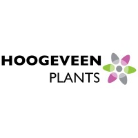 Hoogeveen plants B.V. Logo