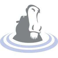 Soul Patch Hippo: Success Coaching Logo