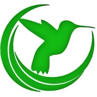 AMS Communications Logo