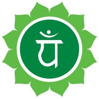 Beyond Acupuncture and Herbs Logo