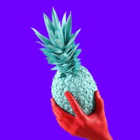 Macfor Full Marketing Digital Logo