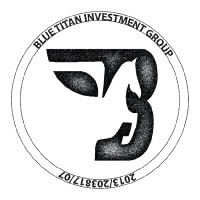 Blue Titan Investment Group Logo