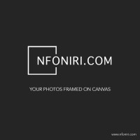 NFONIRI.COM Logo