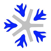 Vianair Inc. Logo